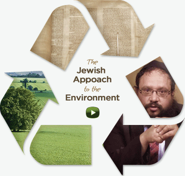
The Jewish Approach to the Environment - Rabbi Shlomo Yaffe