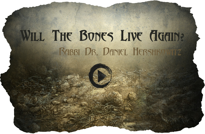 Will-The-Bones-Live-Again